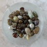 Blue Opal (Tumbled)