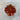 Carnelian (Tumbled)