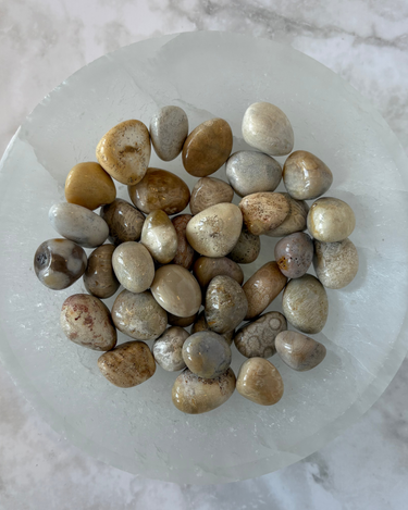 Coral Agate (Tumbled)