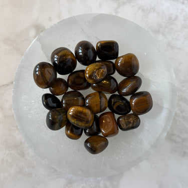 Golden Tigers Eye (Tumbled)