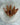 Hematoid Quartz (Points)