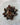 Petrified Wood (Tumbled)