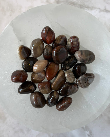 Petrified Wood (Tumbled)