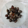 Petrified Wood (Tumbled)