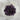 Raw amethyst crystal cluster with natural purple quartz points and druzy surface in varied pale to deep royal purple tones