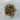 Raw brown green apatite crystal with natural hexagonal prism shape and olive-amber color variation on a lighter matrix base