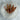 Hematoid Quartz point with clear quartz body and red-orange hematite inclusions threading through the crystal