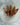 Hematoid Quartz point with clear quartz body and red-orange hematite inclusions threading through the crystal