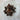 Petrified wood tumbled stone showing fossilized wood grain in earthy brown and tan tones