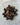 Petrified wood tumbled stone showing fossilized wood grain in earthy brown and tan tones